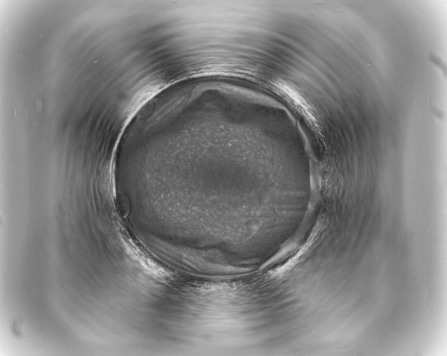 X0000093730892200710301042
