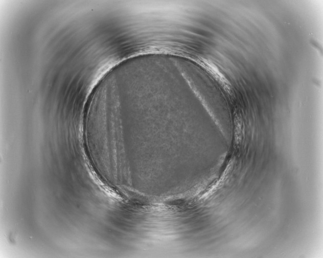 X0000093730896200710301042