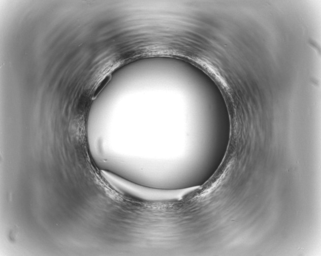 X0000093730897200710301042