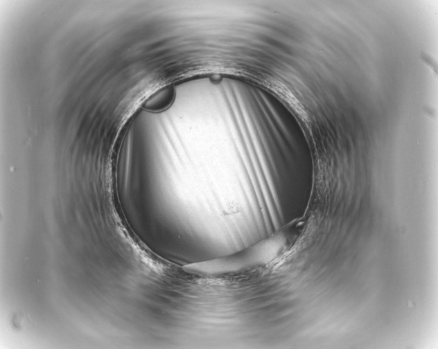 X0000093730898200710301042