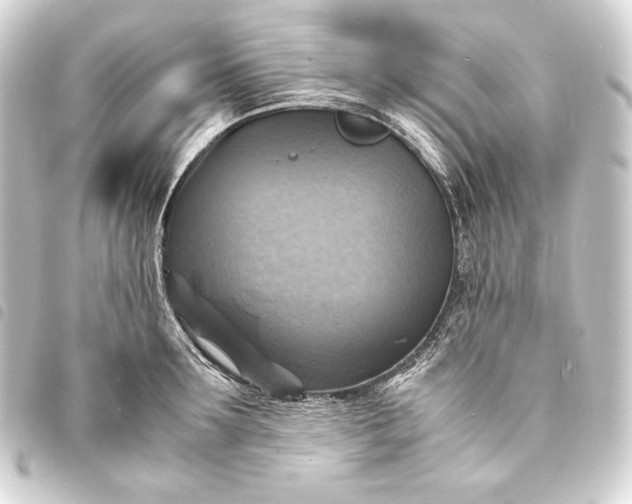 X0000093730899200710301042