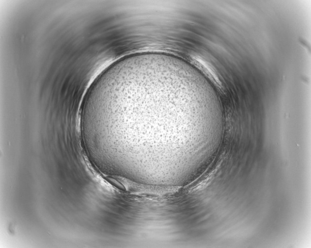 X0000093730900200710301042