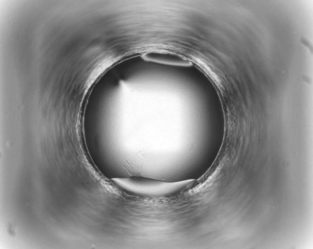 X0000093730901200710301042
