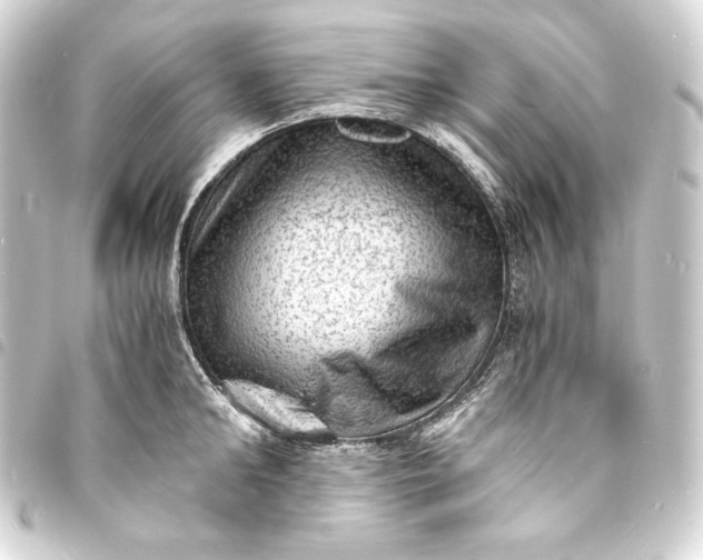 X0000093730902200710301042