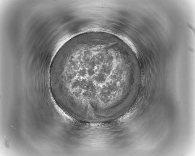 X0000093730903200710301042
