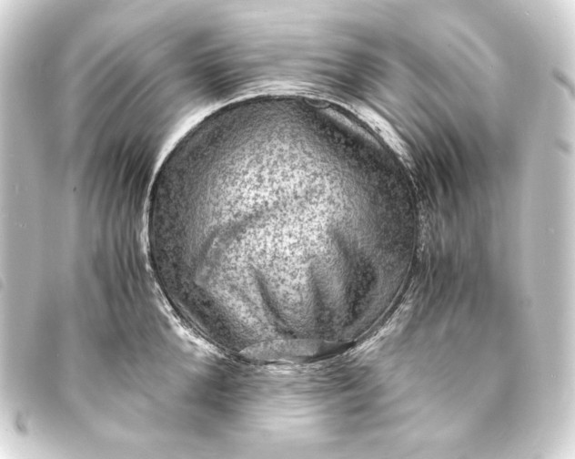 X0000093730904200710301042