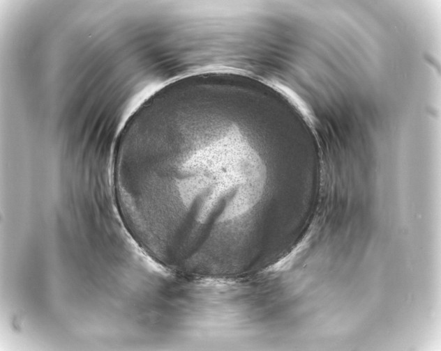 X0000093730910200710301041