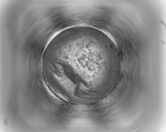 X0000093730911200710301041