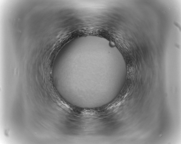 X0000093730913200710301041