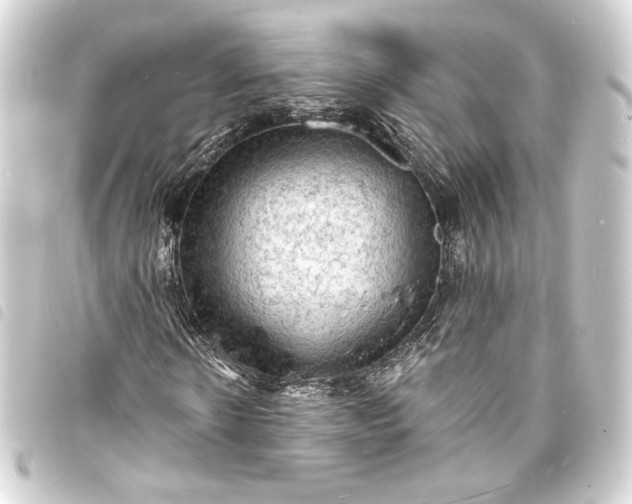 X0000093730914200710301041