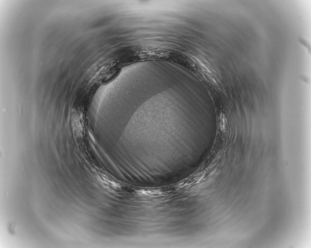 X0000093730915200710301041