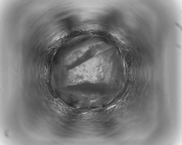 X0000093730917200710301041