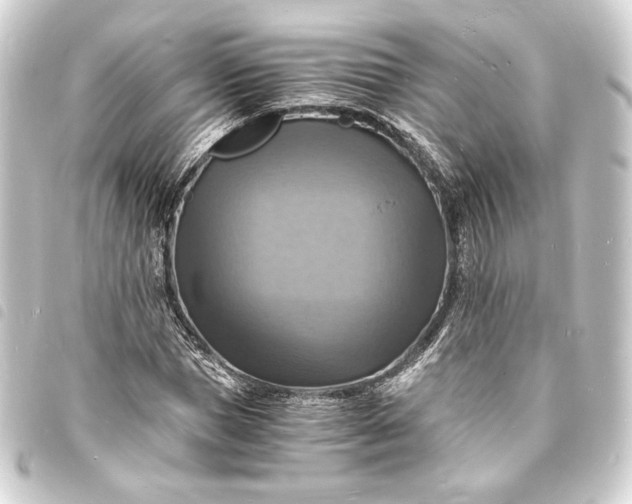 X0000093730921200710301041