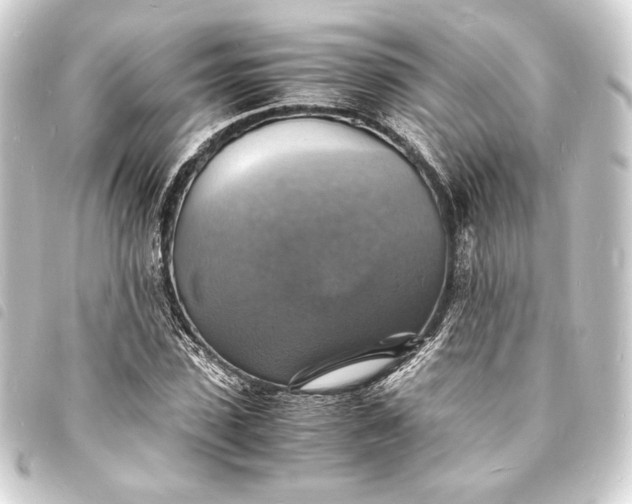 X0000093730923200710301041