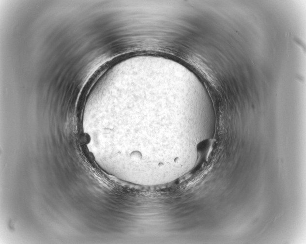 X0000093730924200710301041