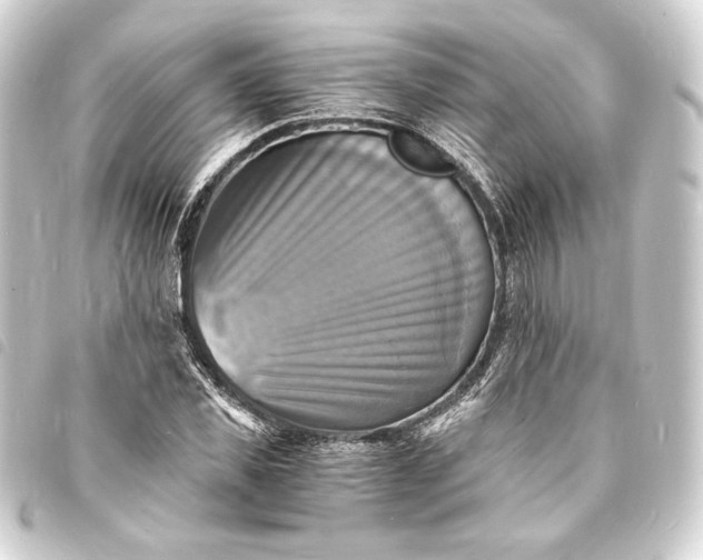 X0000093730925200710301041