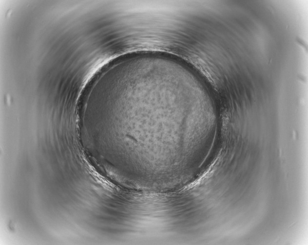 X0000093730926200710301041