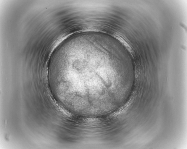 X0000093730933200710301041