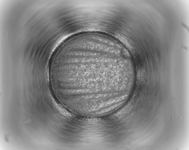 X0000093730934200710301041