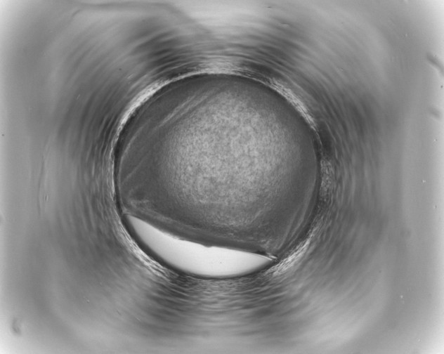 X0000093730939200710301041