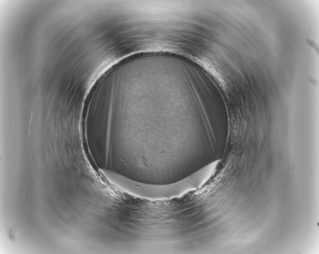 X0000093730943200710301041