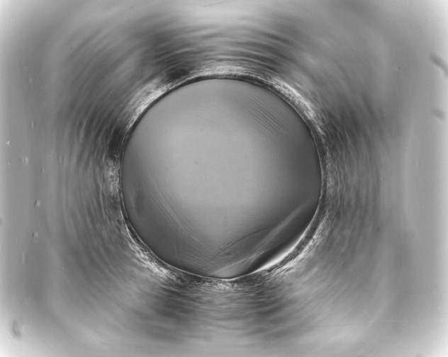 X0000093730945200710301041