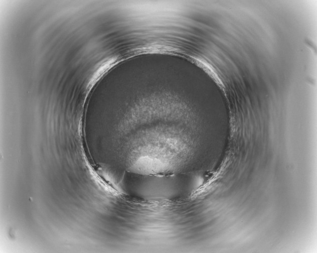 X0000093730946200710301041