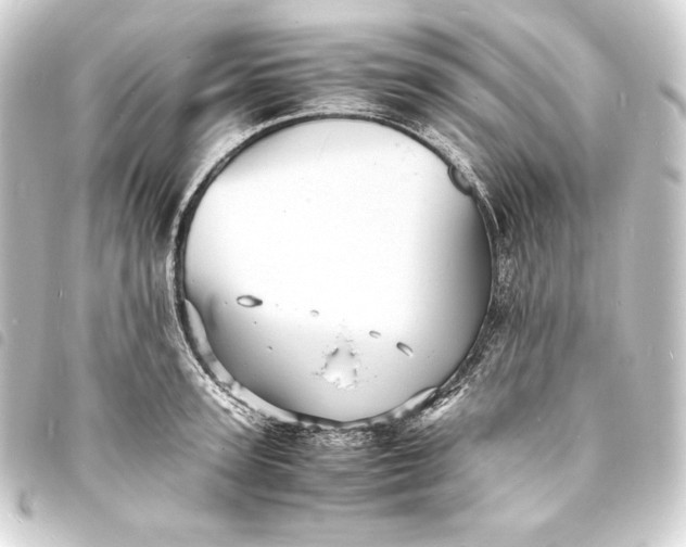 X0000093730947200710301041