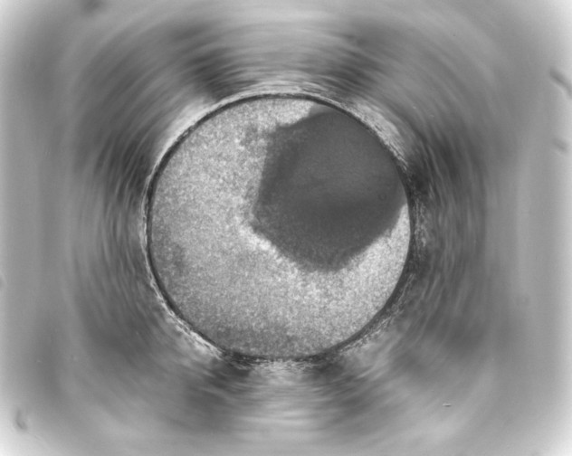 X0000093730950200710301041