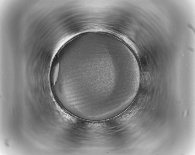 X0000093730951200710301041