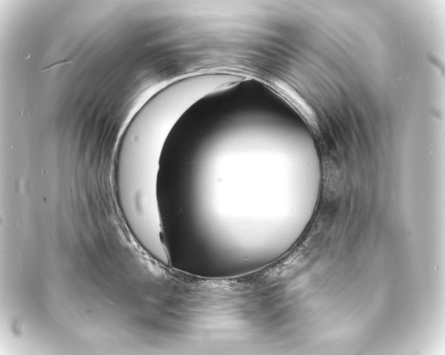 X0000093730956200710301041