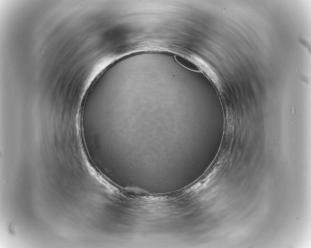 X0000093730958200710301041
