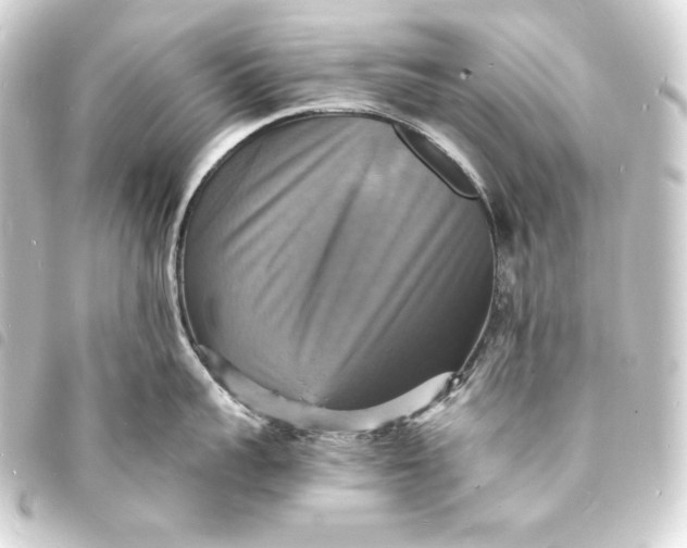 X0000093730959200710301041