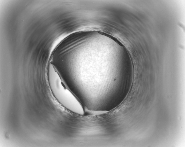 X0000093730960200710301041
