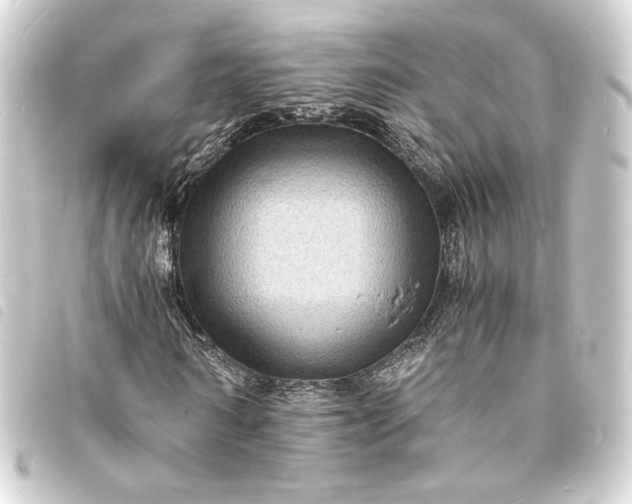 X0000093730962200710301041