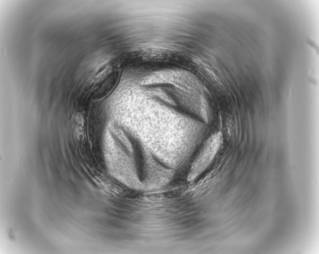 X0000093730964200710301041
