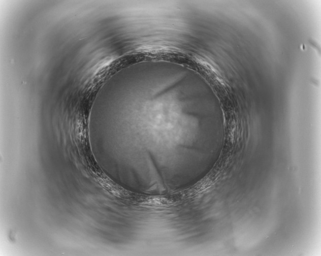 X0000093730966200710301041