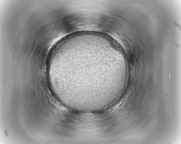 X0000093730971200710301041