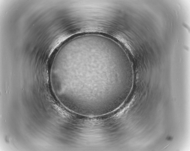 X0000093730973200710301041