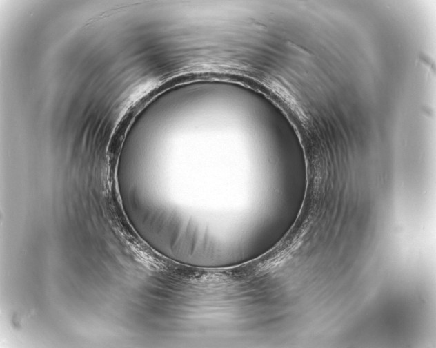 X0000093730974200710301041