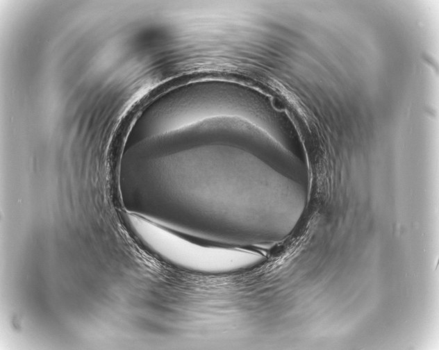 X0000093730975200710301041