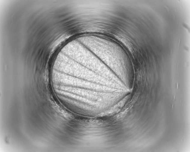 X0000093730979200710301041