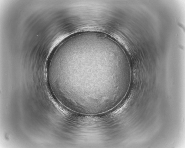 X0000093730981200710301041