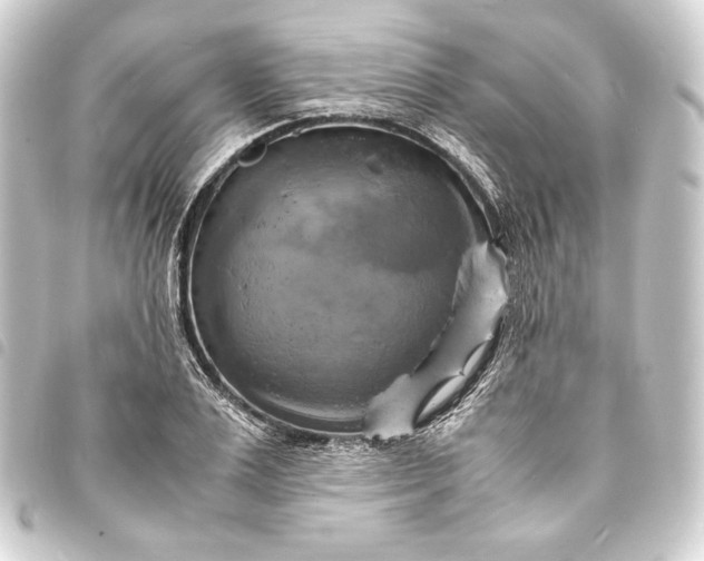 X0000093730983200710301041