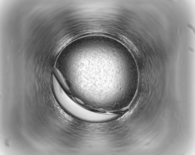X0000093730985200710301041