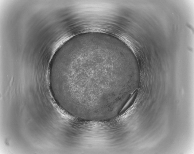 X0000093730987200710301040