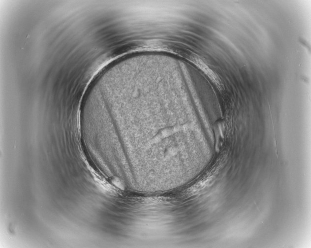 X0000093730988200710301040