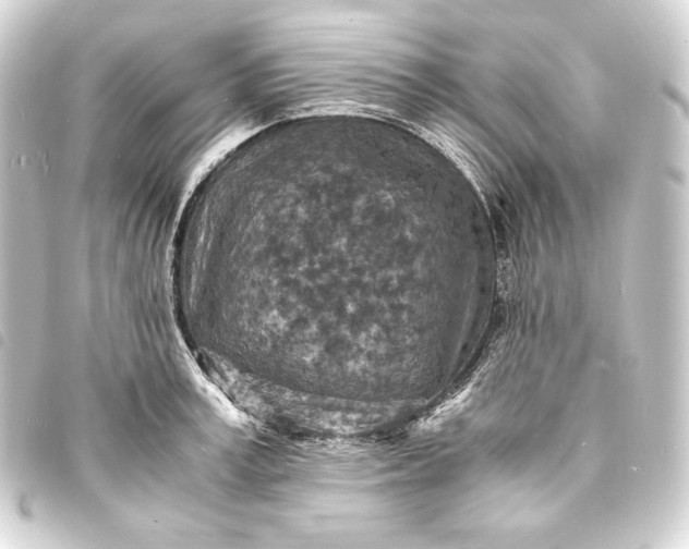 X0000093730995200710301040