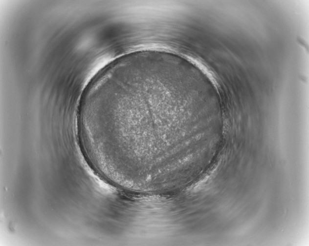 X0000093730999200710301040
