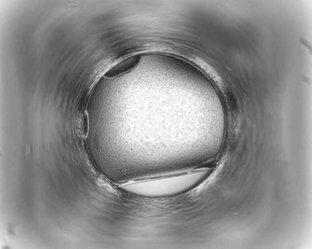 X0000093731001200710301040